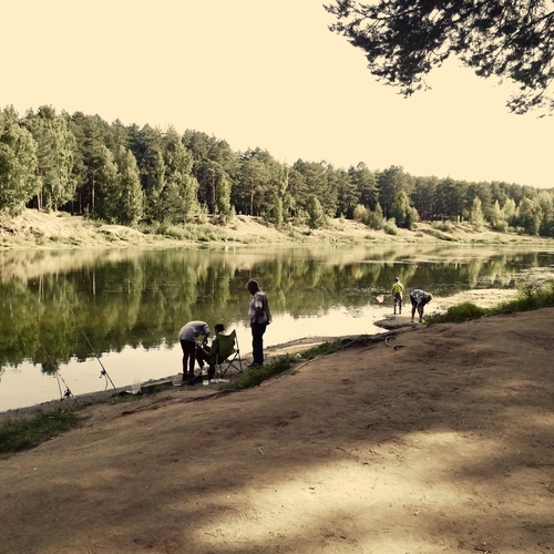 Photo #13920237