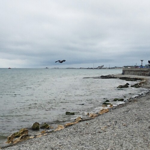 Photo #13920300