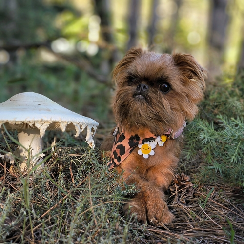 Photo #13920344