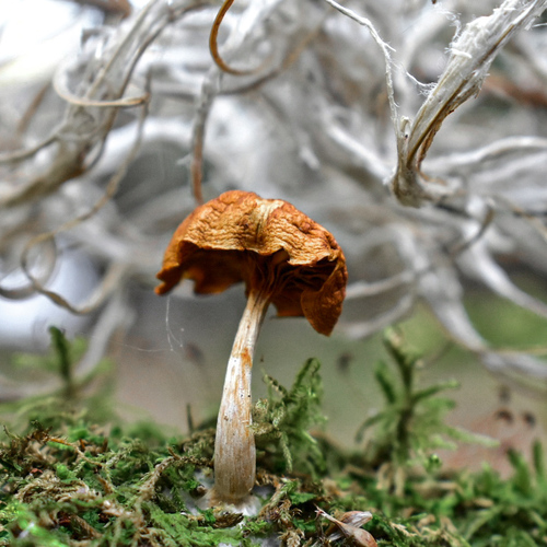 Photo #13920392
