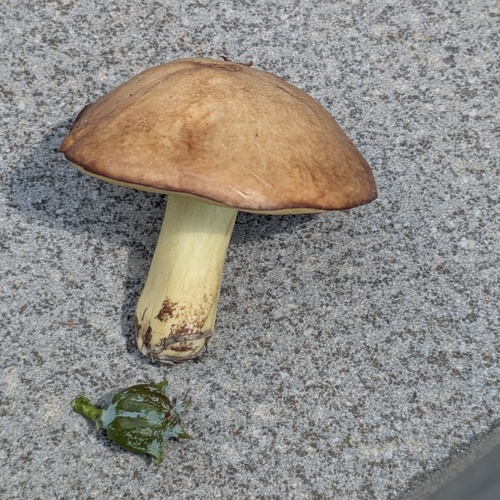 Photo #13920503