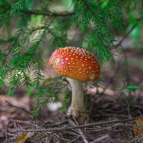 Photo #13920552