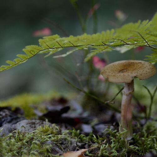 Photo #13920560