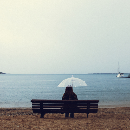 Photo #13920590