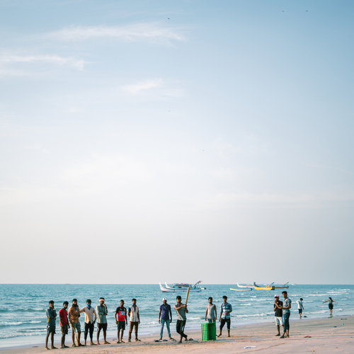 Cricket by the shore.