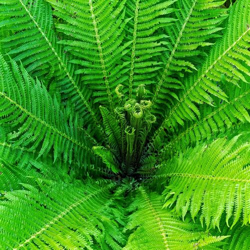 Photo #13920844