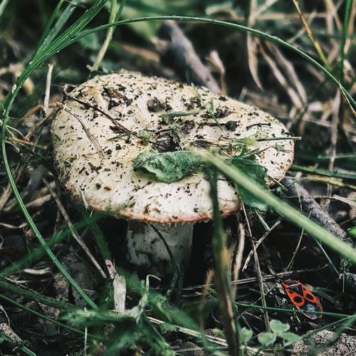 Photo #13920914