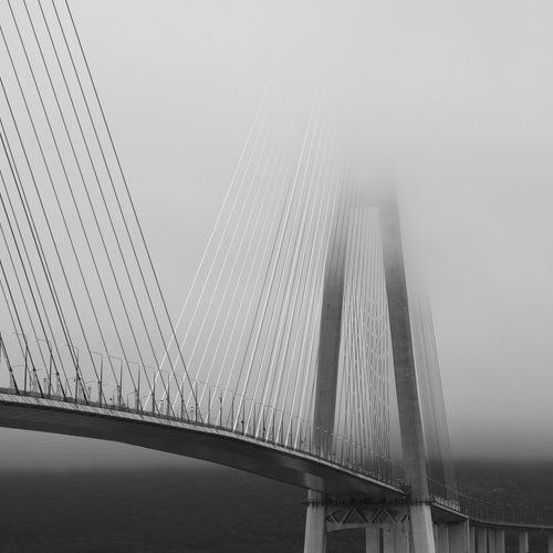Photo #13920995