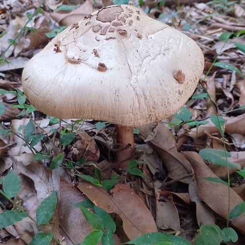 Photo #13921042