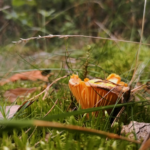 Photo #13921052