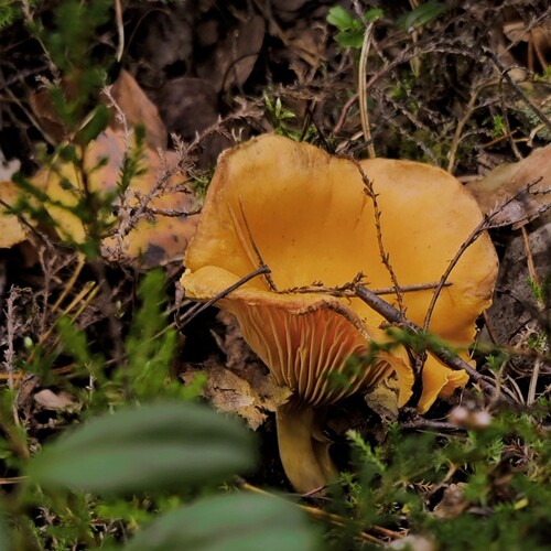 Photo #13921213