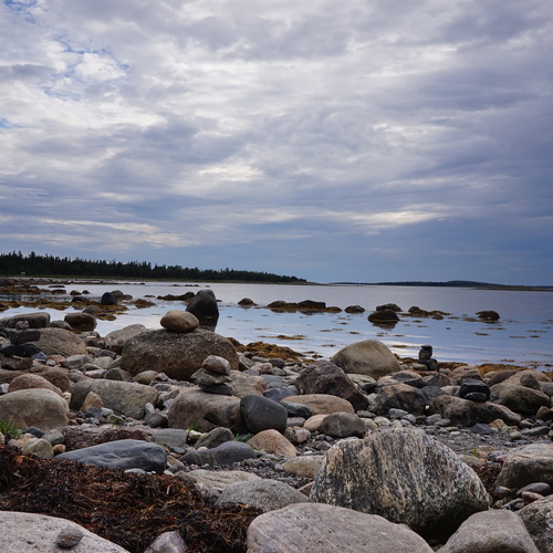 Photo #13921277