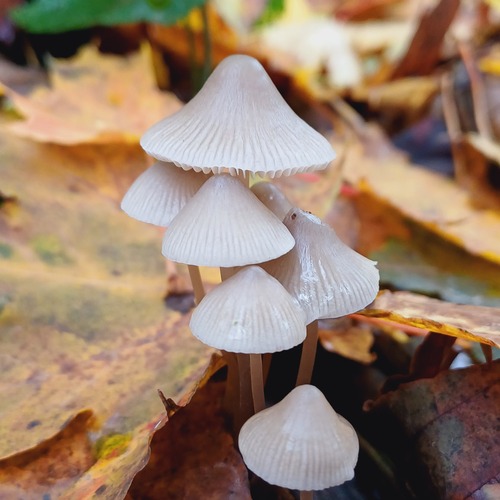 Photo #13921310