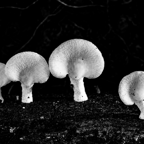Photo #13921356
