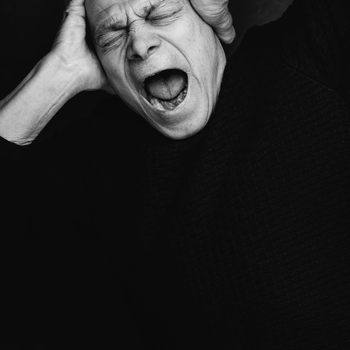 Photo #13921426