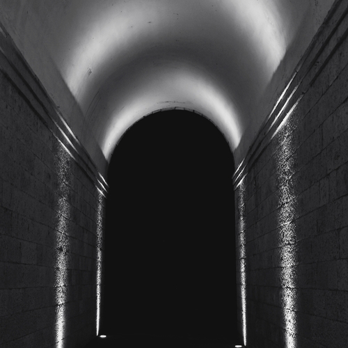 Photo #13921627