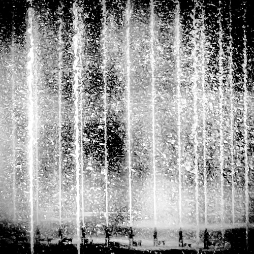 Photo #13921733