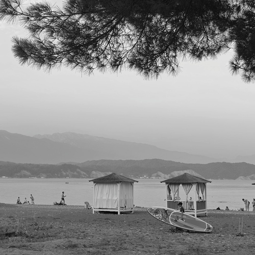 Photo #13921752