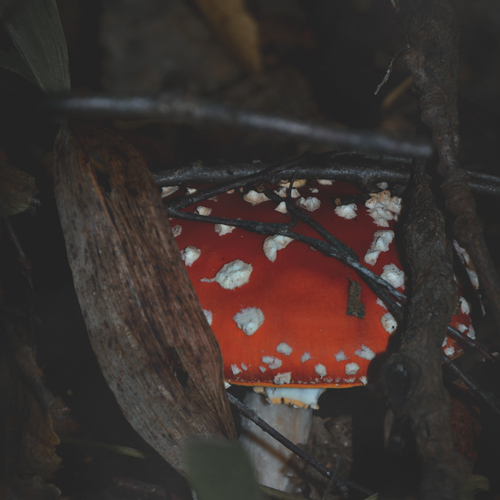 Photo #13921851