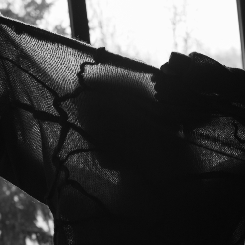 Photo #13921964
