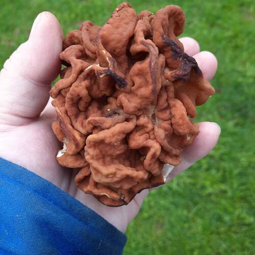 Photo #13921982