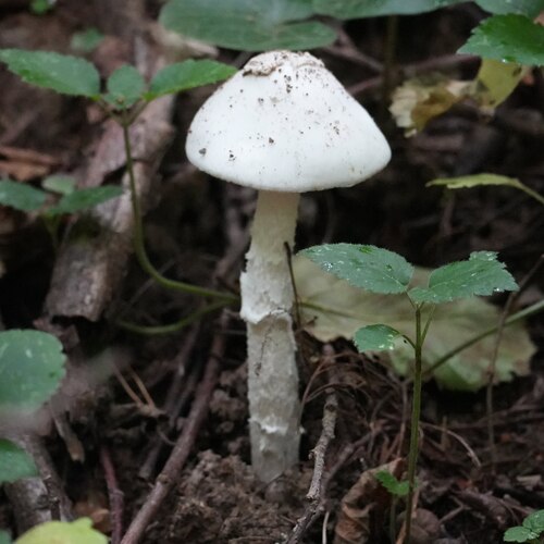 Photo #13921984