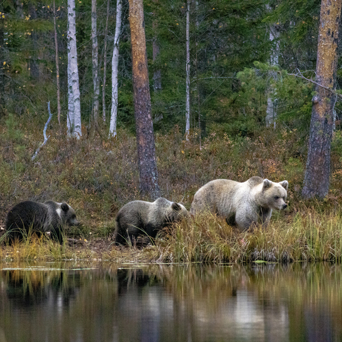 Photo #13922049