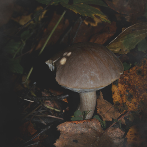 Photo #13922158