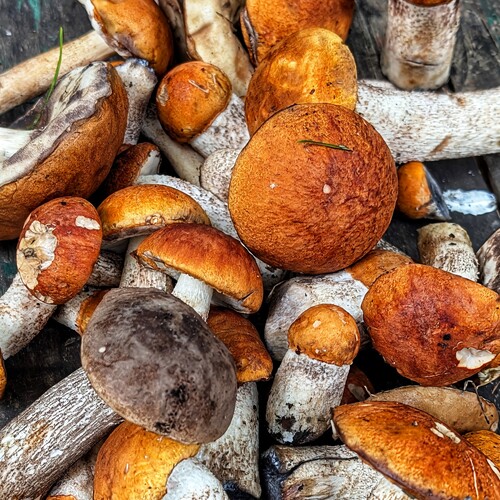 Photo #13922332