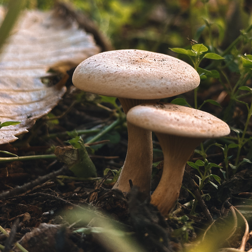 Photo #13922341