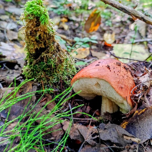 Photo #13922494
