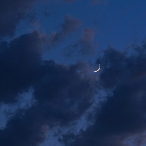Photo #13922592