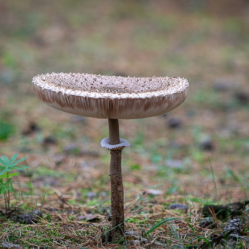 Photo #13922615