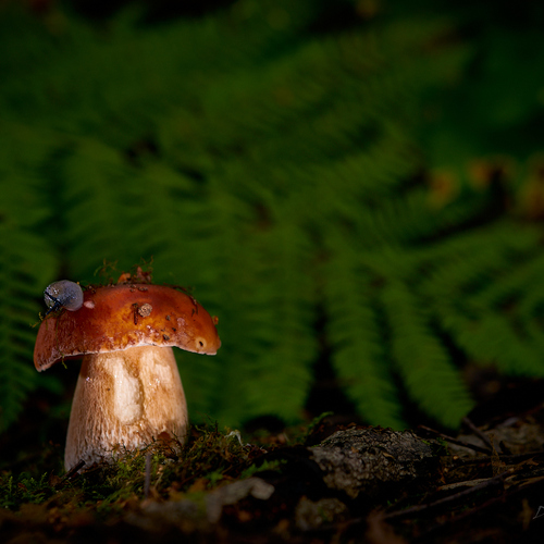 Photo #13922684
