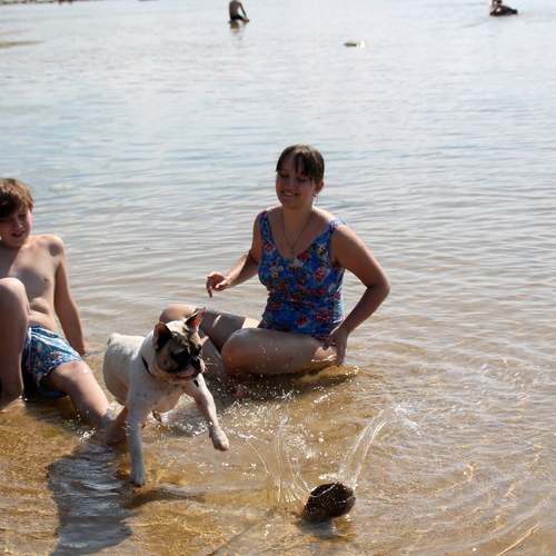 Photo #13922695