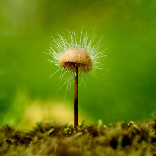 Photo #13922707