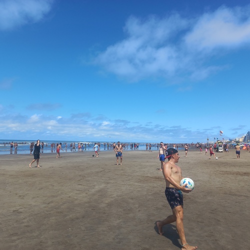 Photo #13922789