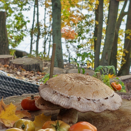 Photo #13922808