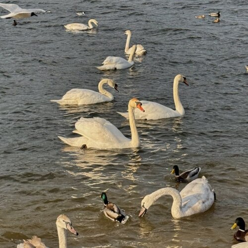 Photo #13922849