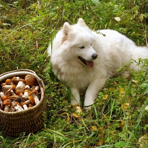 Photo #13922876