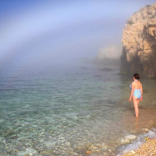 Photo #13922920