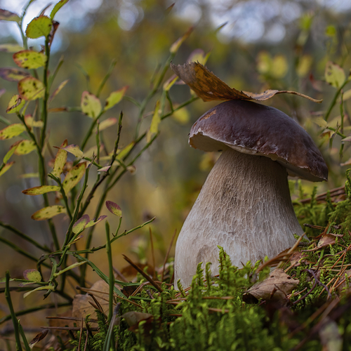 Photo #13922945