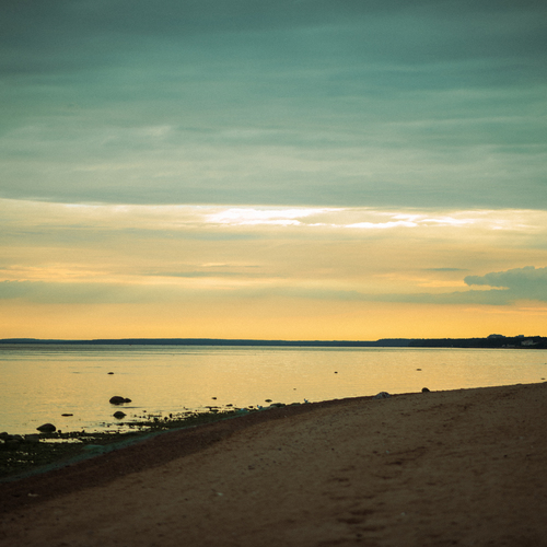 Photo #13923049