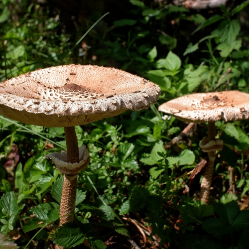 Photo #13923105