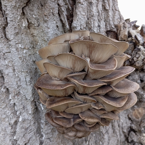 Photo #13923162