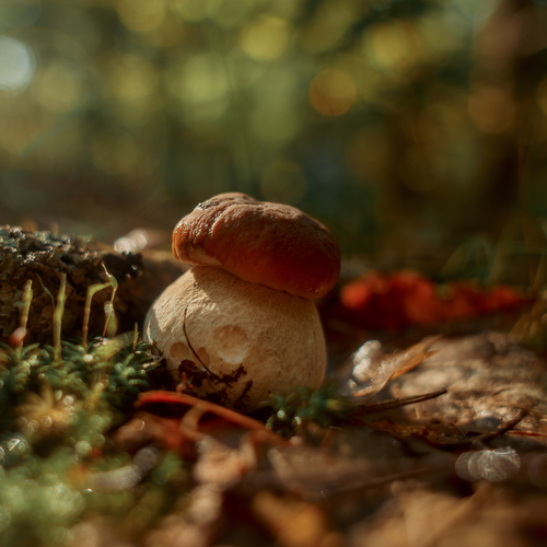 Photo #13923184
