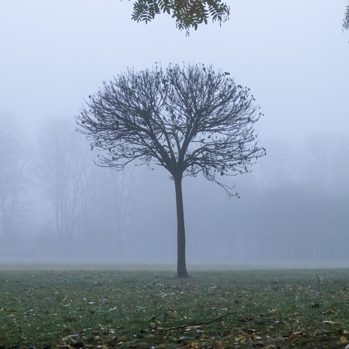 Photo #13923343
