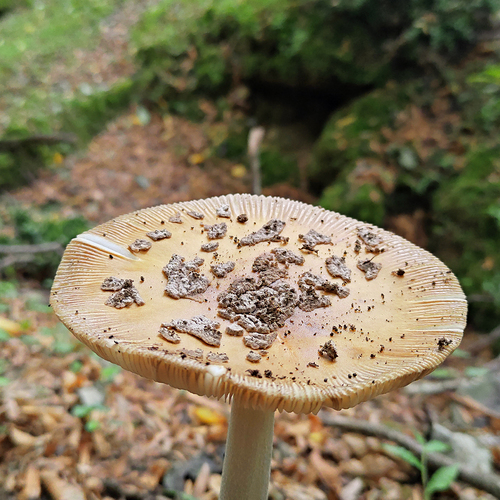 Photo #13923365