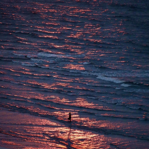 Photo #13923378