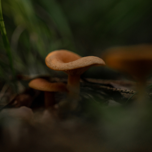 Photo #13923501